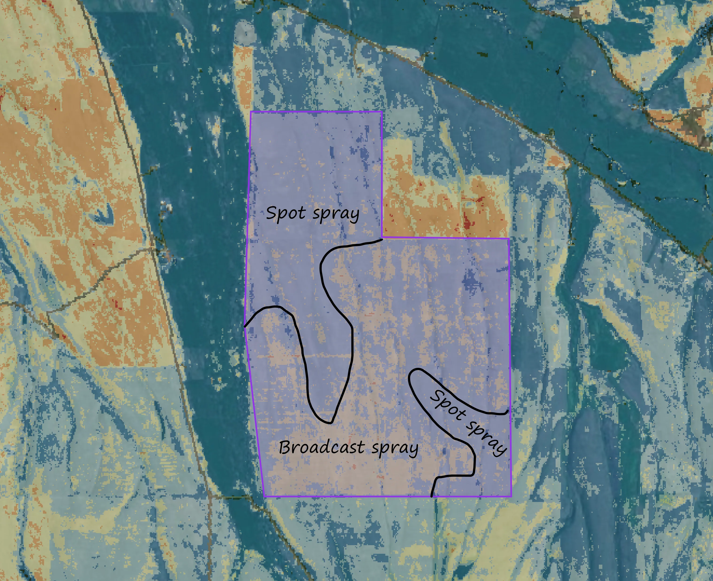ISI map of a treatment unit with areas marked for spot spray and broadcast spray