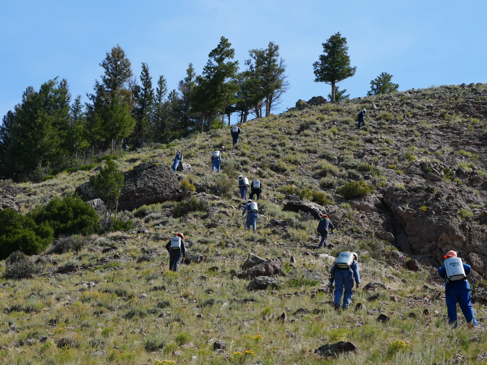 Field crew using backpack sprayers to spot-treat vegetation on a rocky hillside.